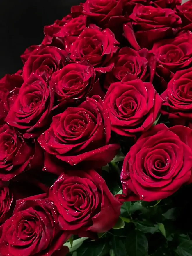Buy 35 Red roses in Marbella