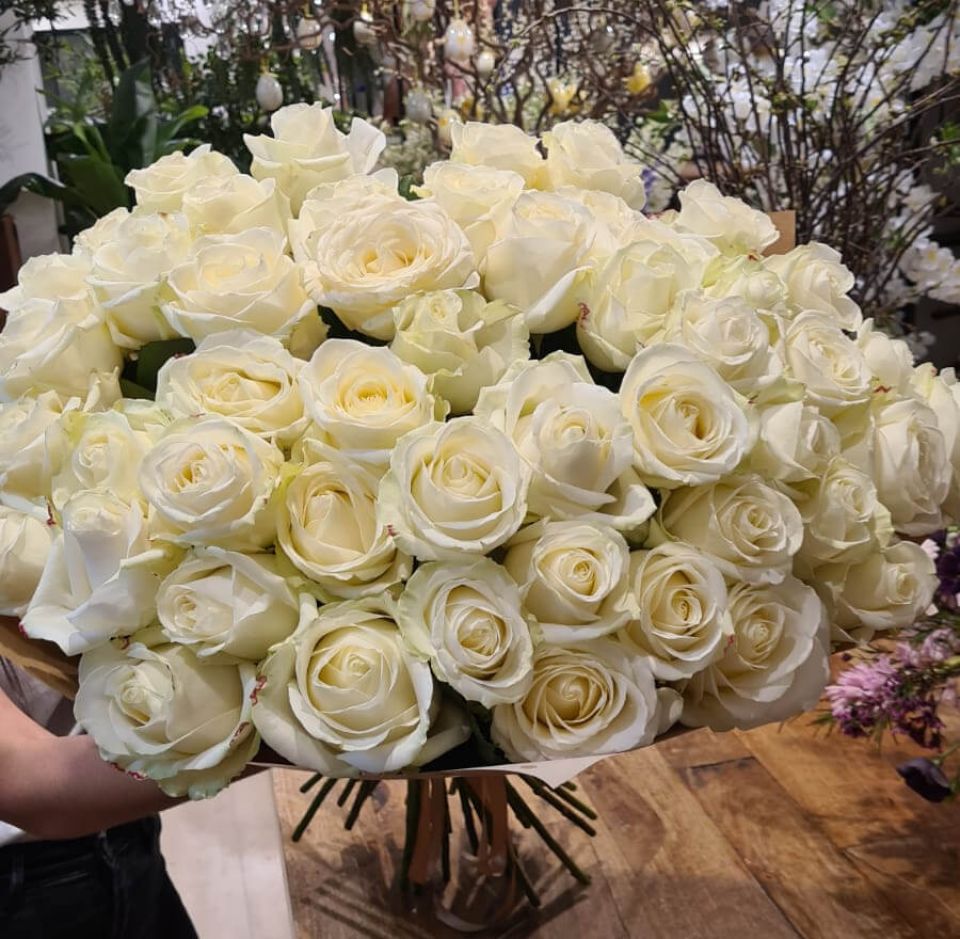 100 roses, 100 rosas MyFlower studio