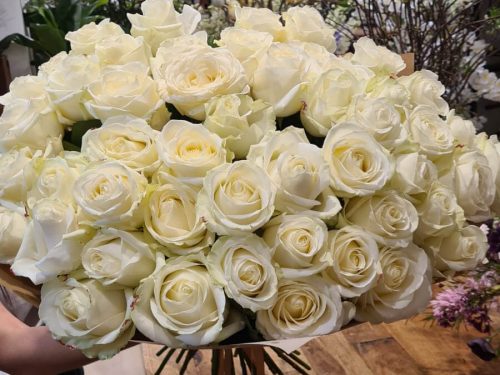 100 roses, 100 rosas MyFlower studio