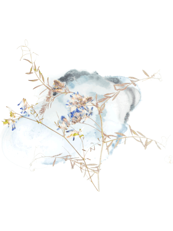 DECORATION WITH FRESH FLOWERS MyFlower Marbella